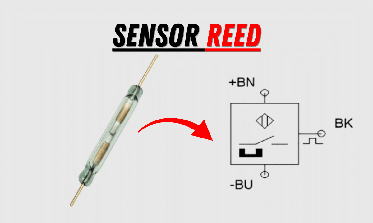 sensor reed switch